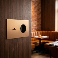 Tuimelschakelaar + Wandcontactdoos — Modern — Goud - Goud — Sfeerbeeld