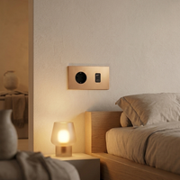 Wandcontactdoos + USB A/C — Zakelijk — Goud - Goud — Sfeerbeeld